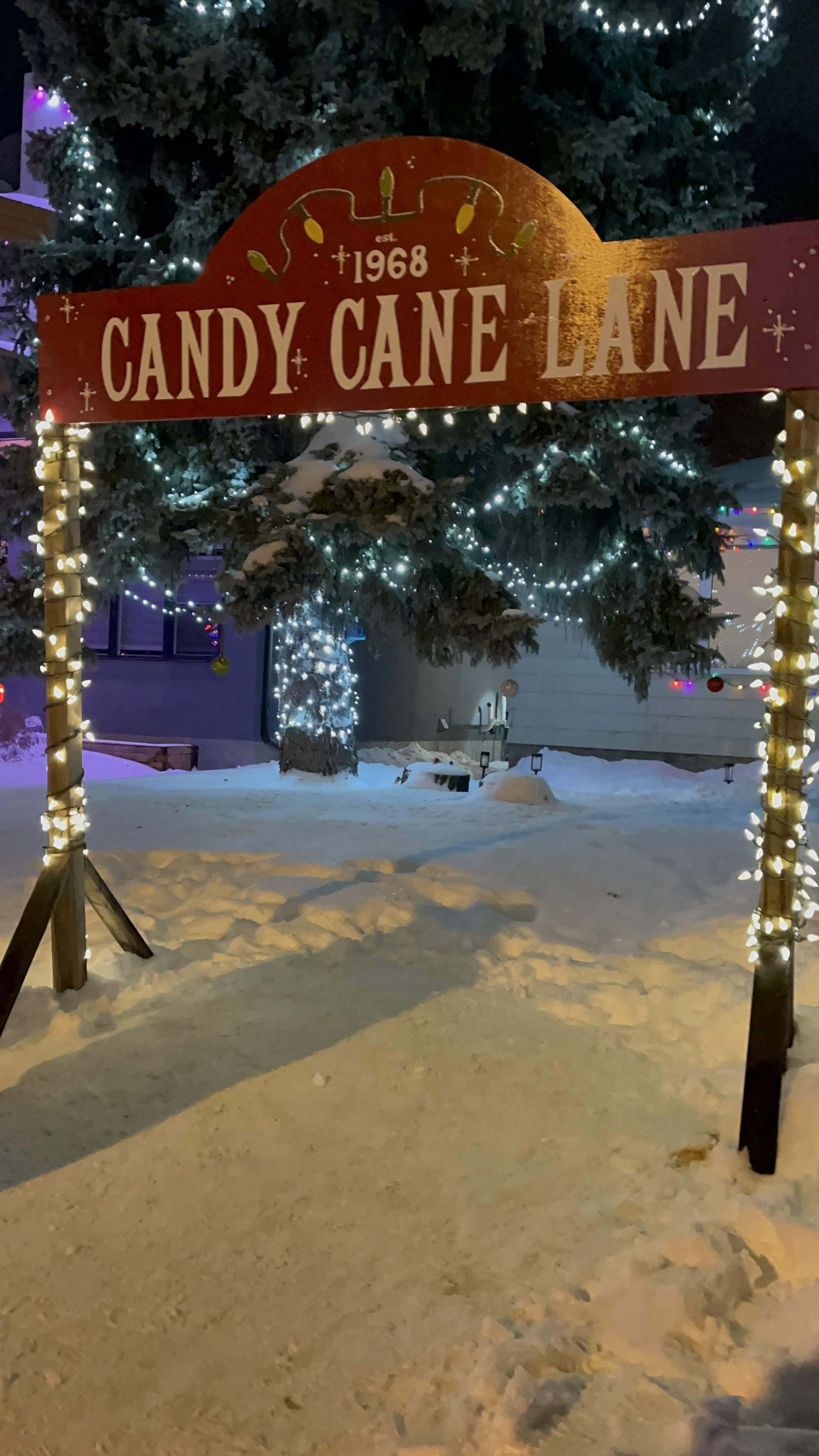Walking Candy Cane Lane: A Local’s Winter Tradition